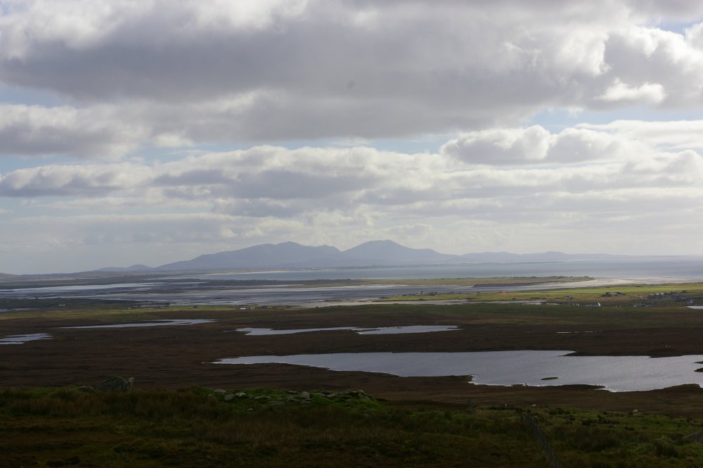 Watery landscape. 