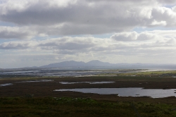 Watery landscape. 